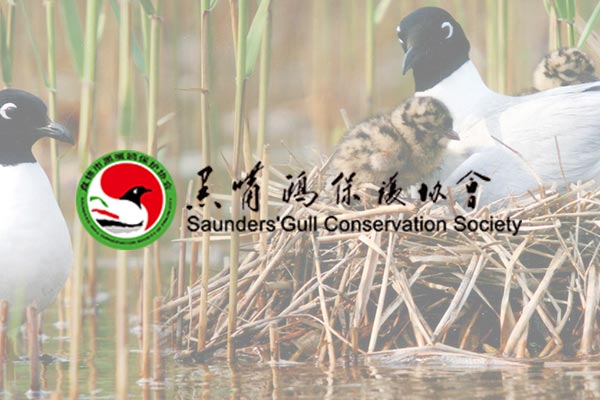辽宁省暨盘锦市第44届“爱鸟周”主题宣传活动启动仪式在盘锦境内的丹顶鹤野化基地隆重举行