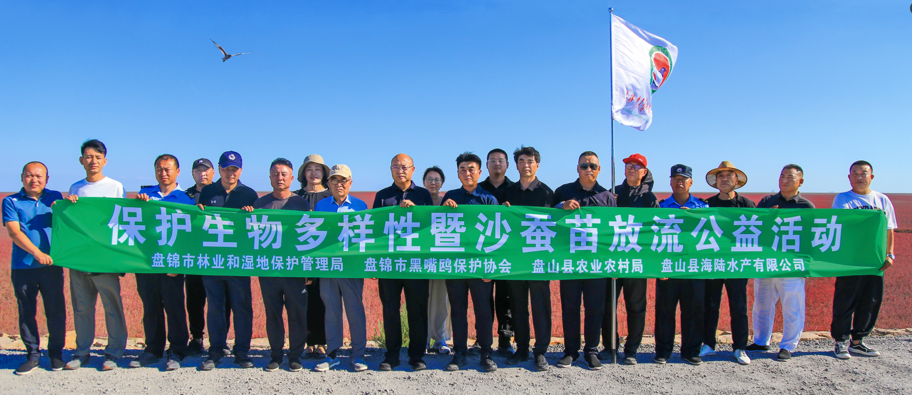 1000万尾沙蚕苗放流辽河口滩涂 助力底栖生态修复