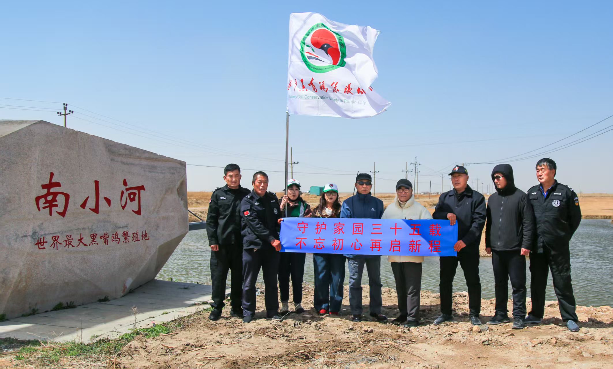 掀起你的盖头来——黑嘴鸥繁殖全程直播，见证湿地精灵守护之路